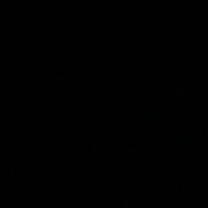 Meet your Posher, Jada